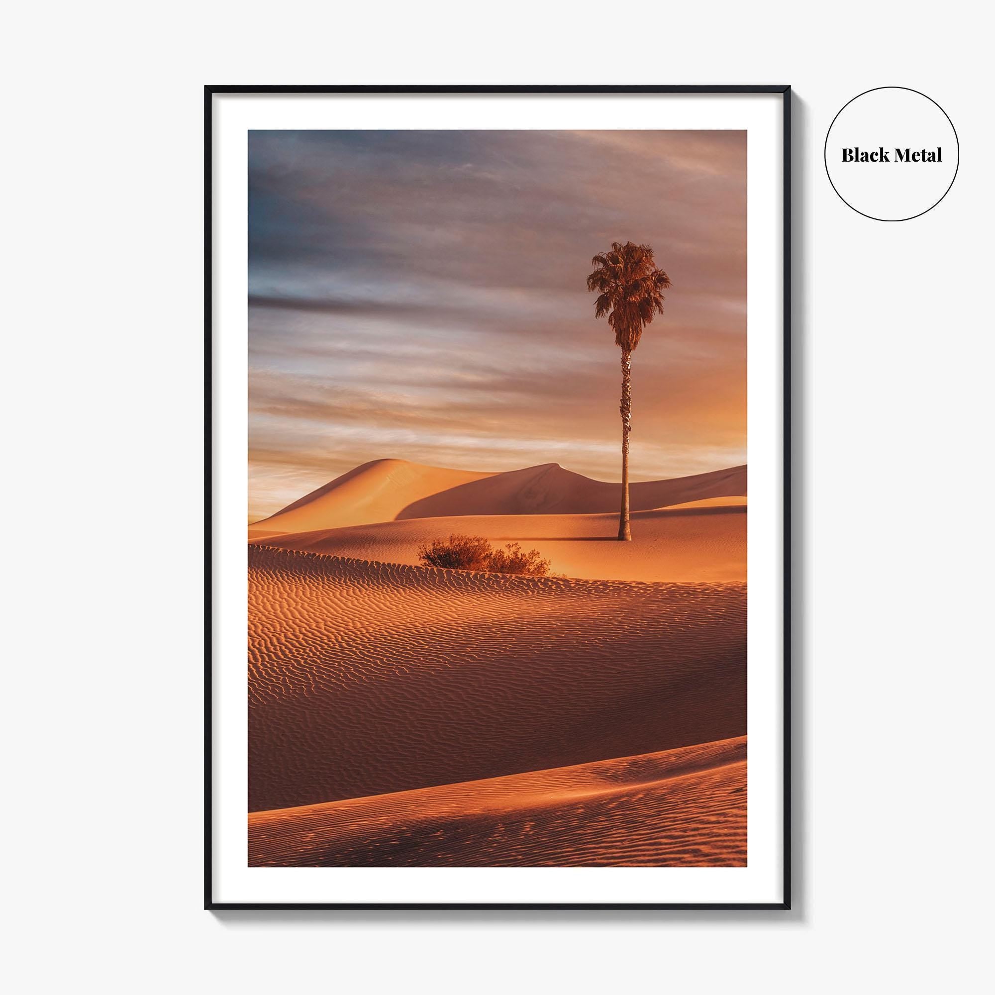 Palm Desert Fine Art Photo Print, Palm Springs California Poster