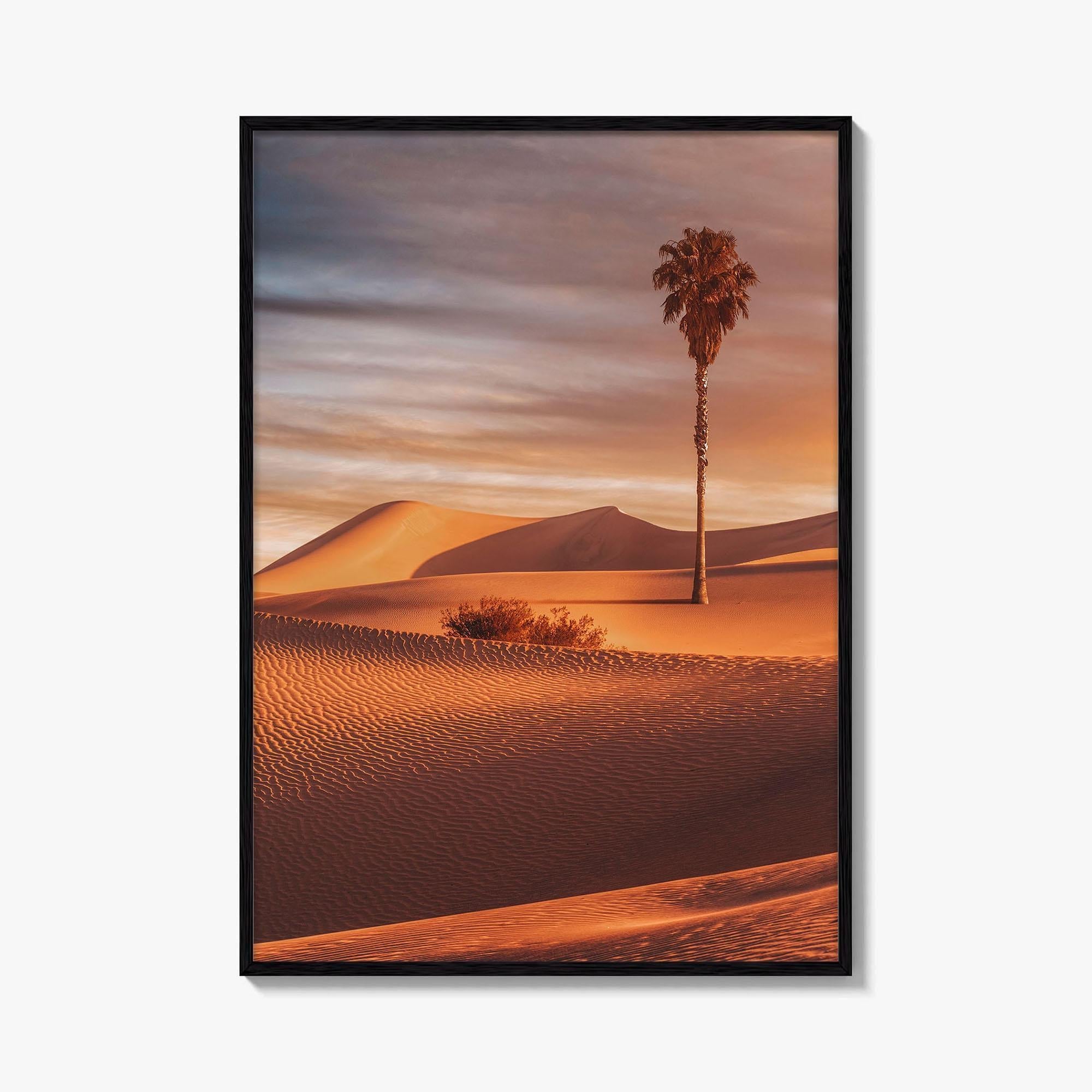 Palm Desert Fine Art Photo Print, Palm Springs California Poster