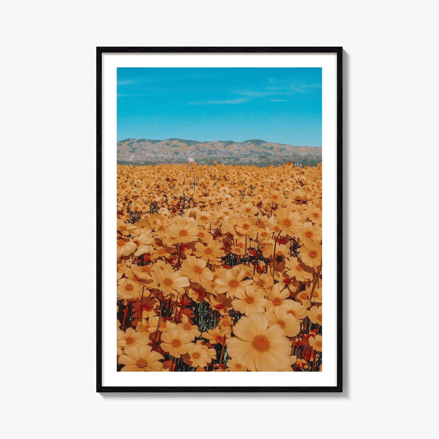 San Luis Obispo Fine Art Photo Print, Carrizo Plain National Monument, California USA Poster