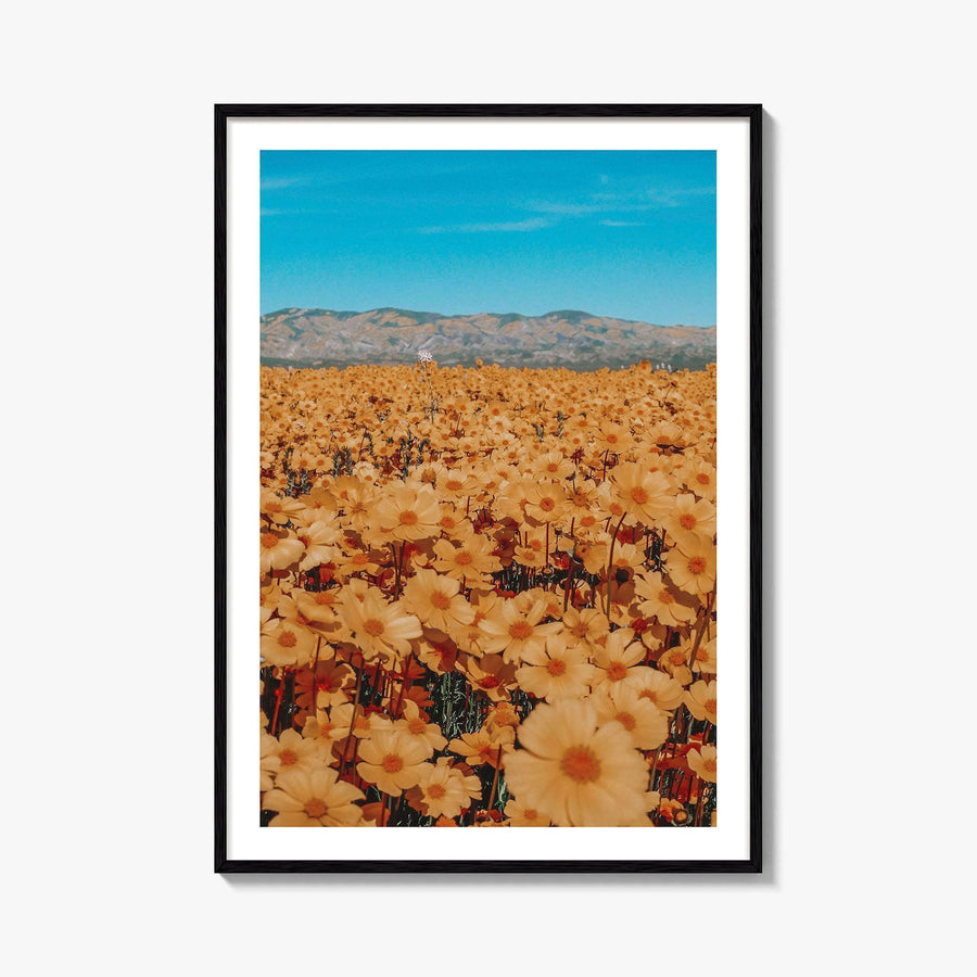 San Luis Obispo Fine Art Photo Print, Carrizo Plain National Monument, California USA Poster