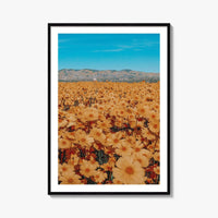 San Luis Obispo Fine Art Photo Print, Carrizo Plain National Monument, California USA Poster