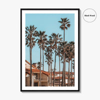 Oxnard Fine Art Photo Print, California Coastal Palm Trees, Ventura County Wall Poster