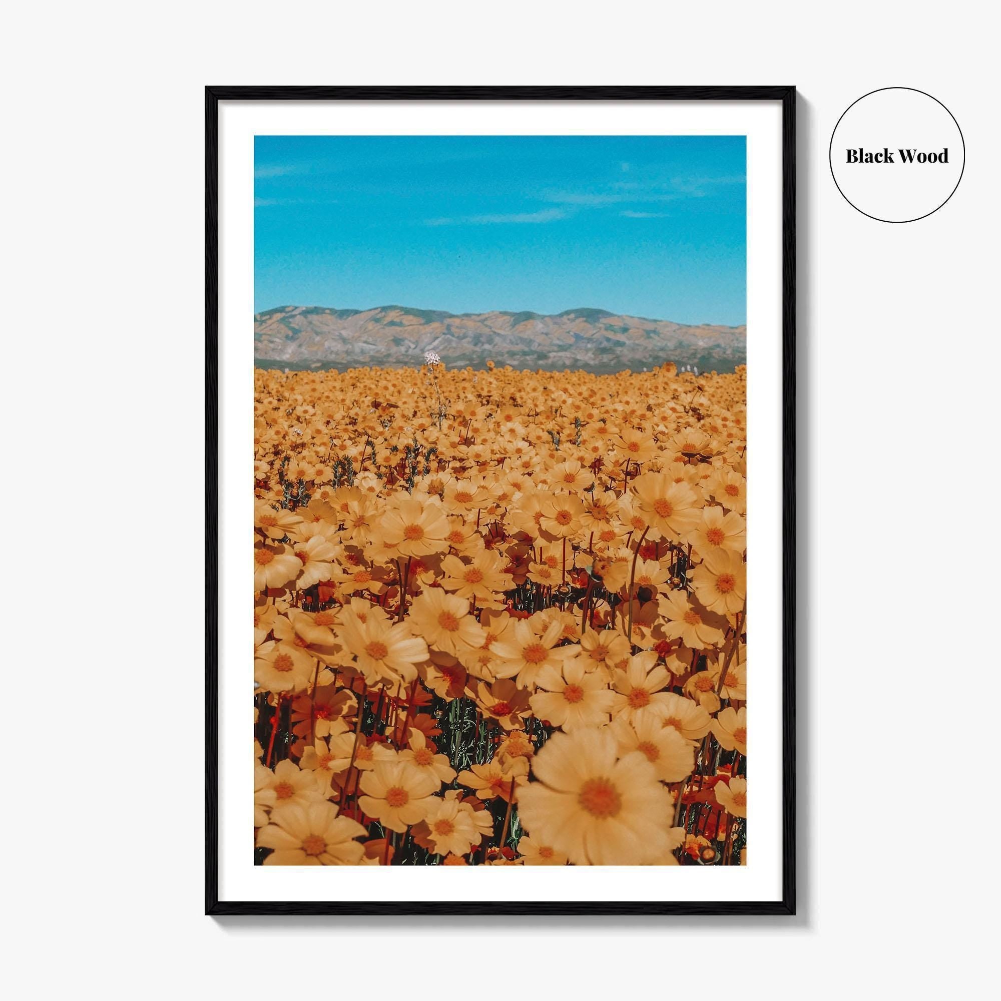 San Luis Obispo Fine Art Photo Print, Carrizo Plain National Monument, California USA Poster
