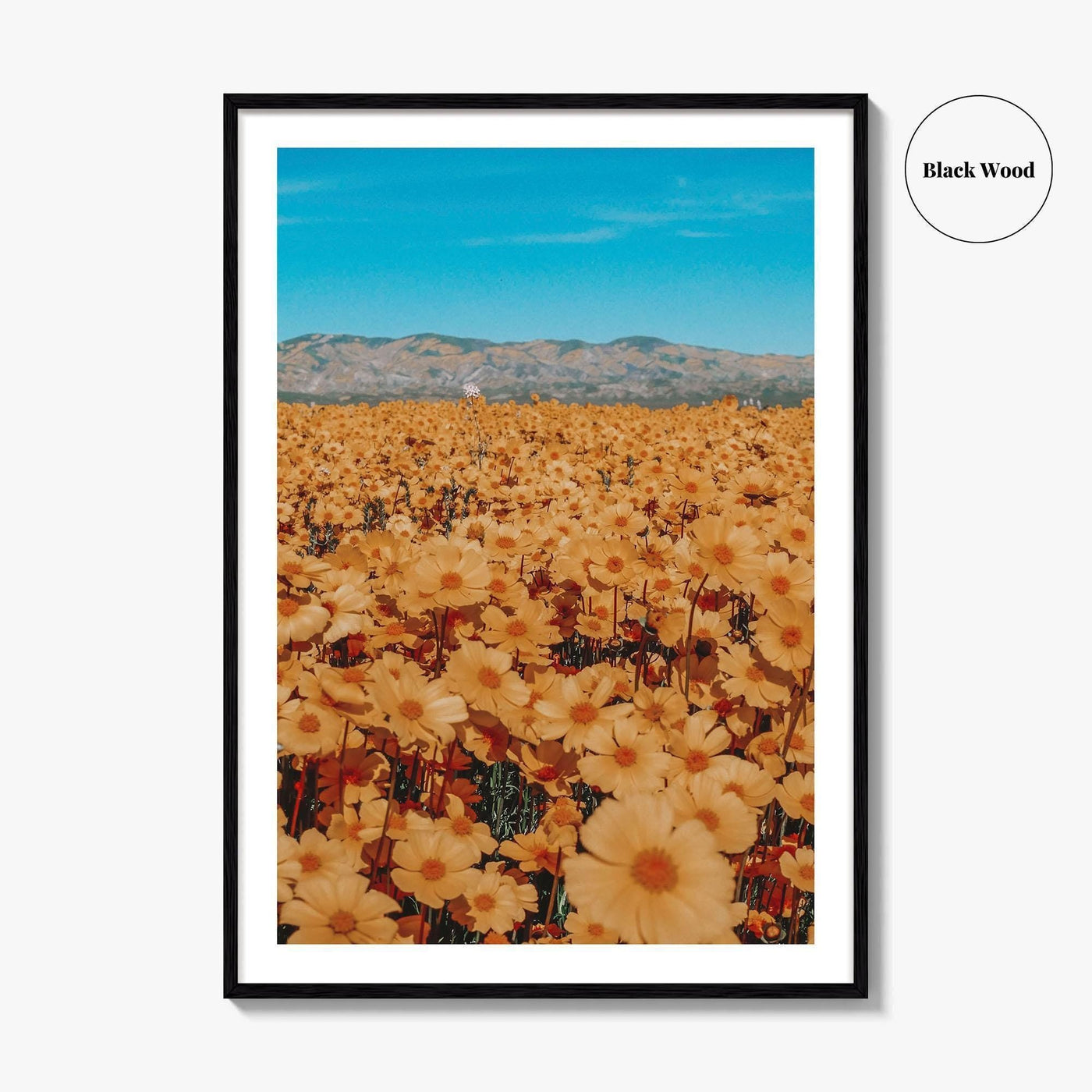 San Luis Obispo Fine Art Photo Print, Carrizo Plain National Monument, California USA Poster