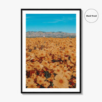 San Luis Obispo Fine Art Photo Print, Carrizo Plain National Monument, California USA Poster