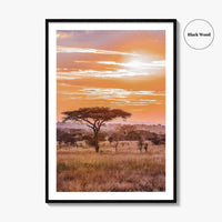 Serengeti Tanzania Fine Art Photo Print, Africa Wall Decor Poster, Safari Savanna, Acacia Trees