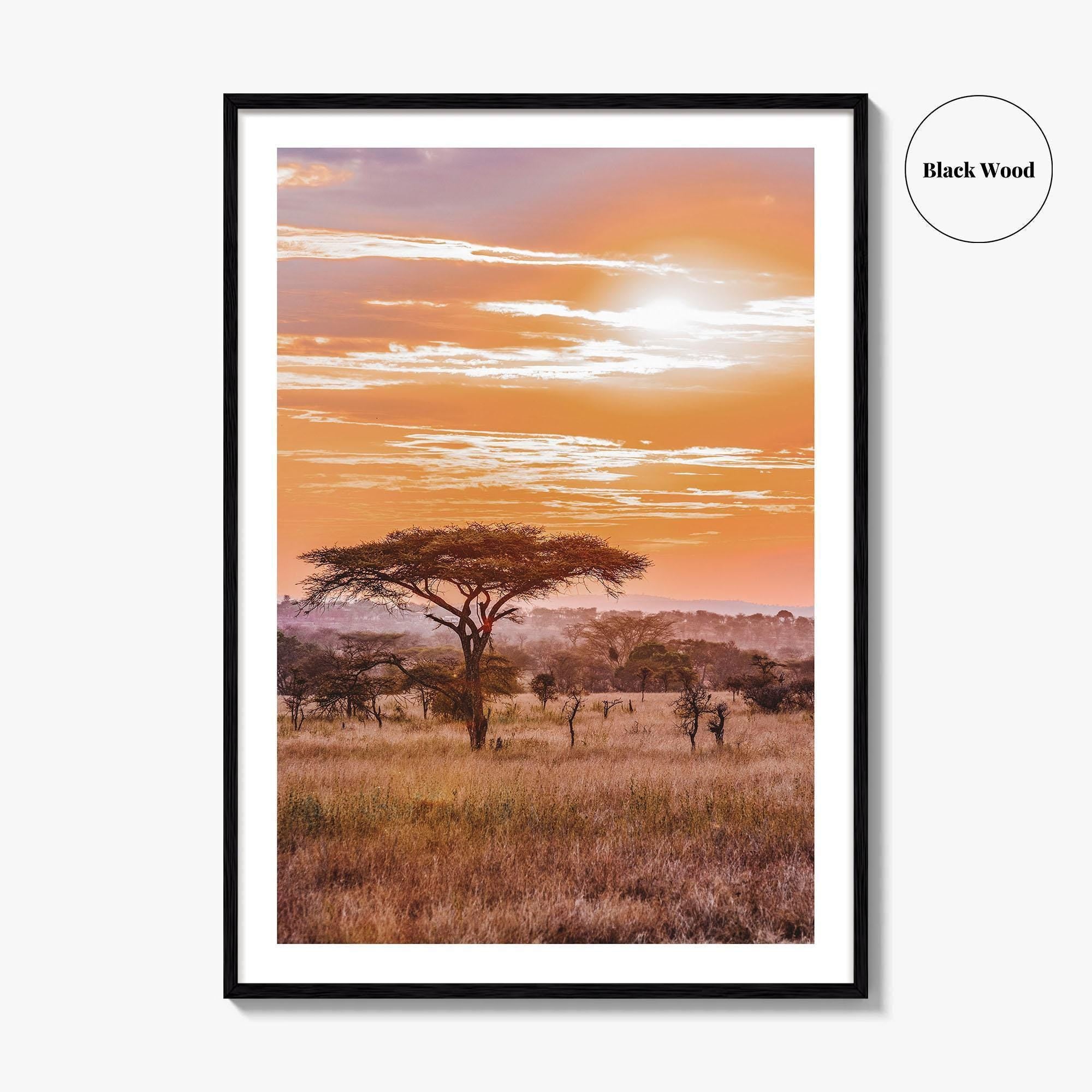 Serengeti Tanzania Fine Art Photo Print, Africa Wall Decor Poster, Safari Savanna, Acacia Trees