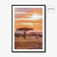 Serengeti Tanzania Fine Art Photo Print, Africa Wall Decor Poster, Safari Savanna, Acacia Trees