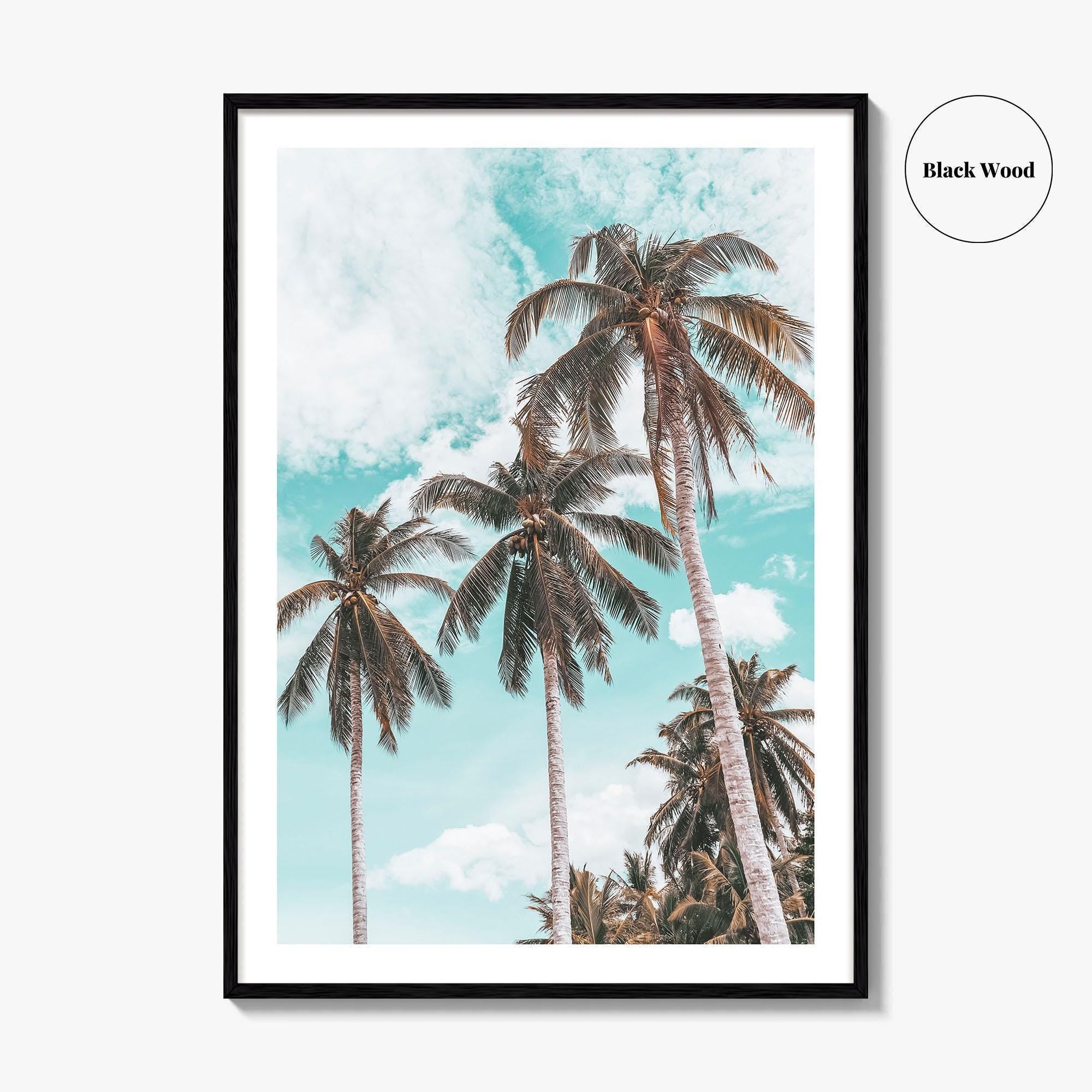 Palm Springs Fine Art Photo Print, California Poster, Coachella Valley, USA