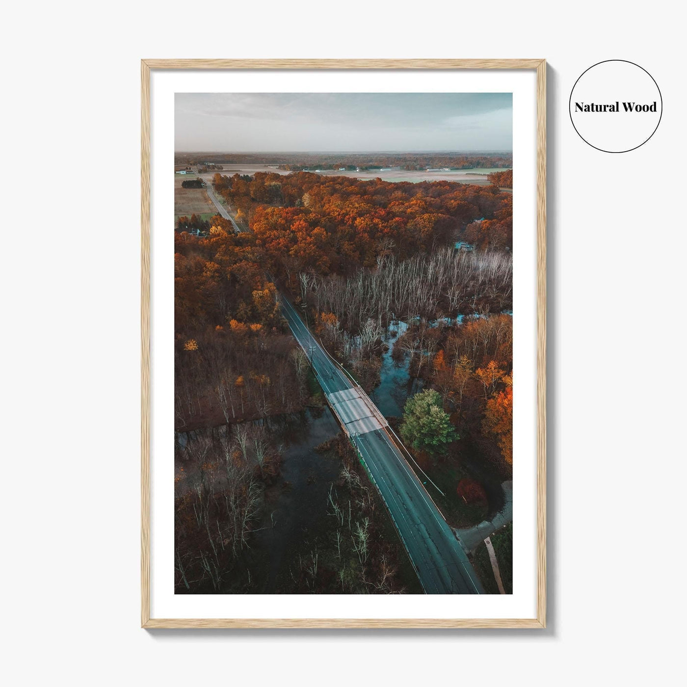 Princeton Fine Art Photo Print, Plainsboro, Cranbury, New Jersey, Aerial, Wall Decor, Poster