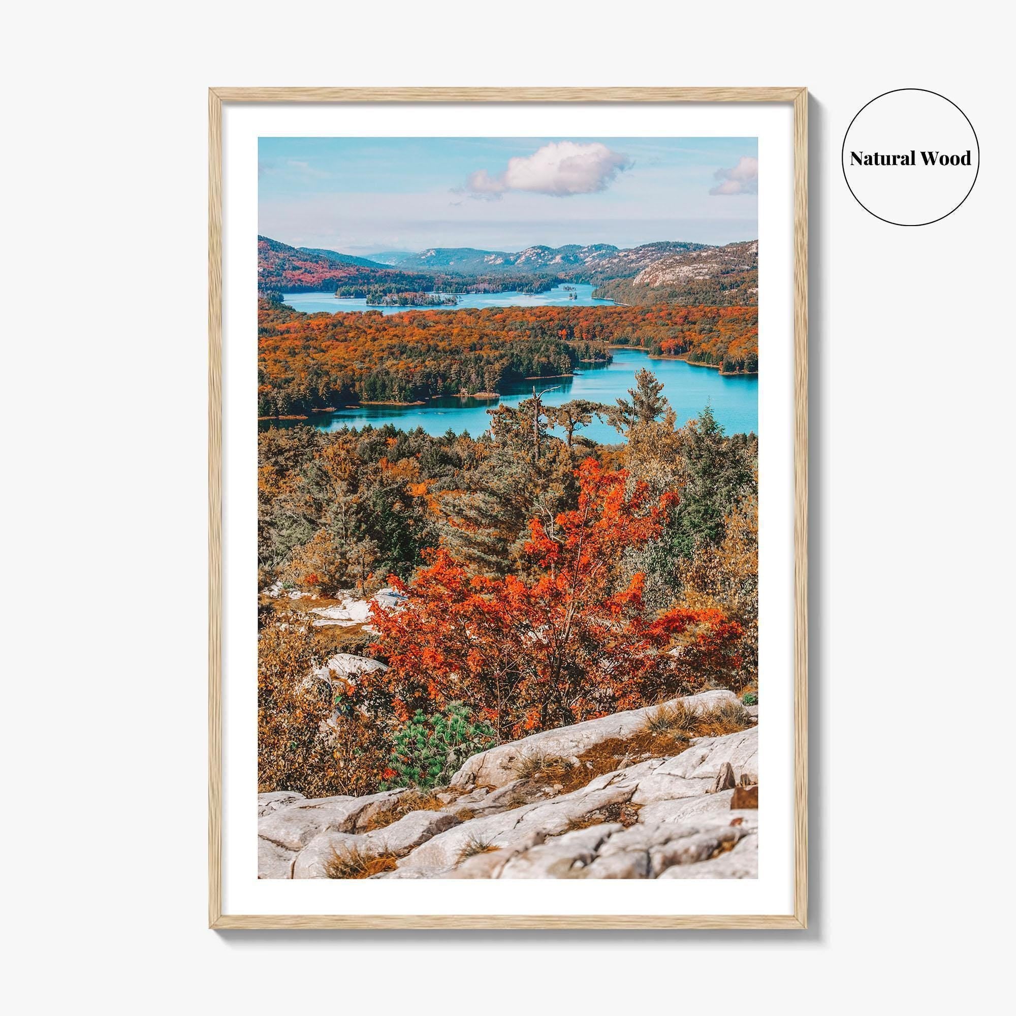 Thousand Islands Fine Art Photo Print, Ontario Canada Aerial Poster, St Lawrence River
