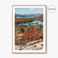 Thousand Islands Fine Art Photo Print, Ontario Canada Aerial Poster, St Lawrence River