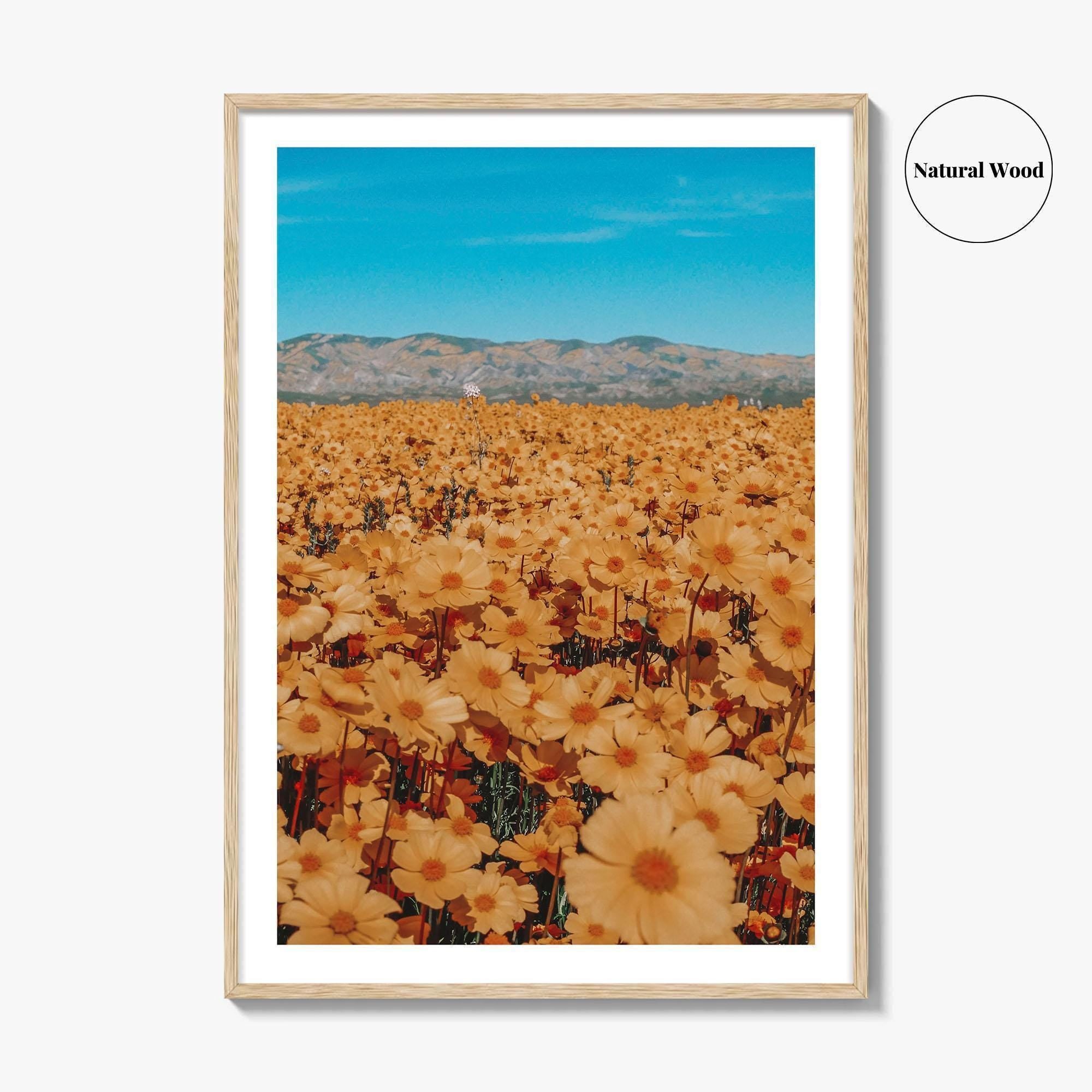 San Luis Obispo Fine Art Photo Print, Carrizo Plain National Monument, California USA Poster
