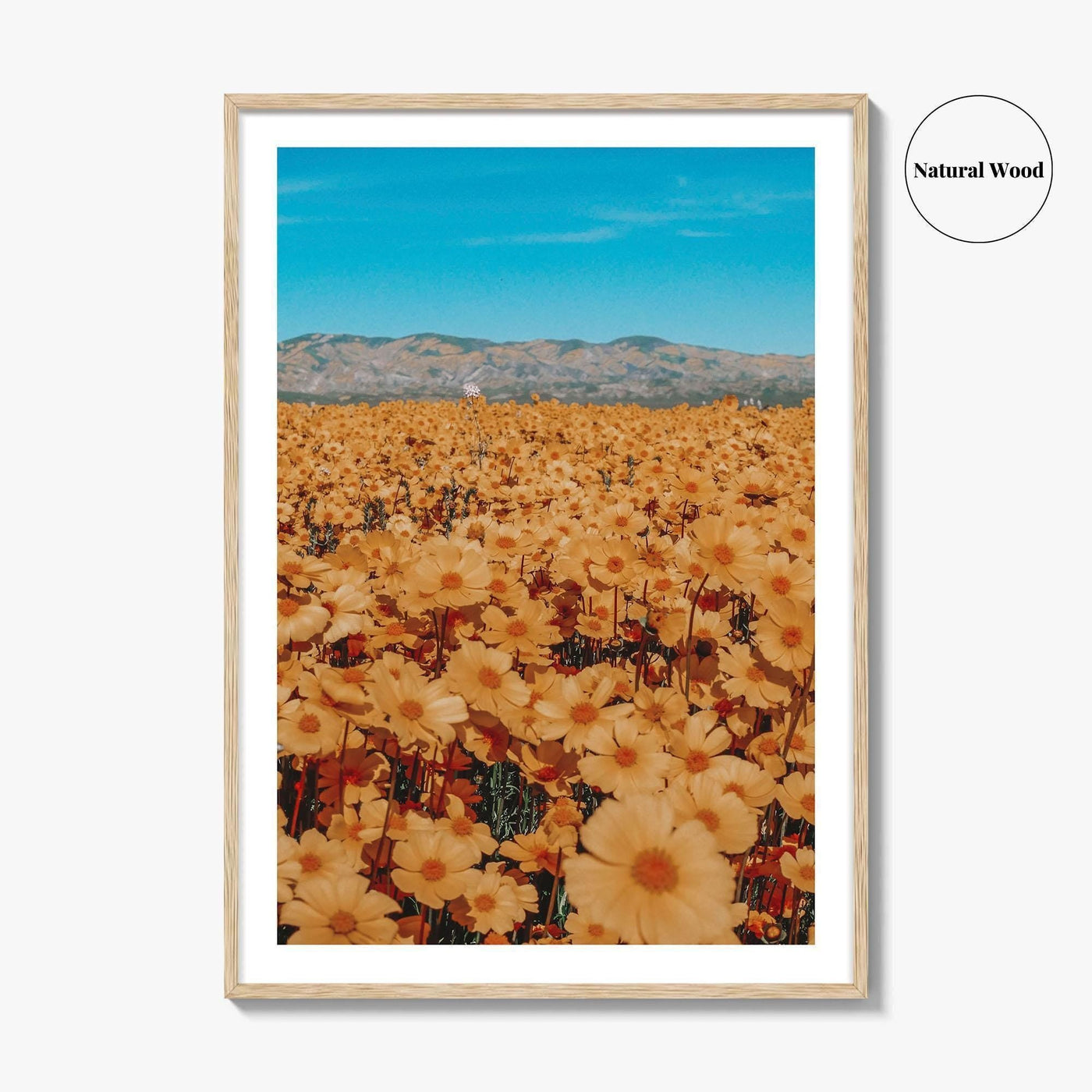 San Luis Obispo Fine Art Photo Print, Carrizo Plain National Monument, California USA Poster