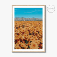 San Luis Obispo Fine Art Photo Print, Carrizo Plain National Monument, California USA Poster