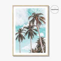 Palm Springs Fine Art Photo Print, California Poster, Coachella Valley, USA