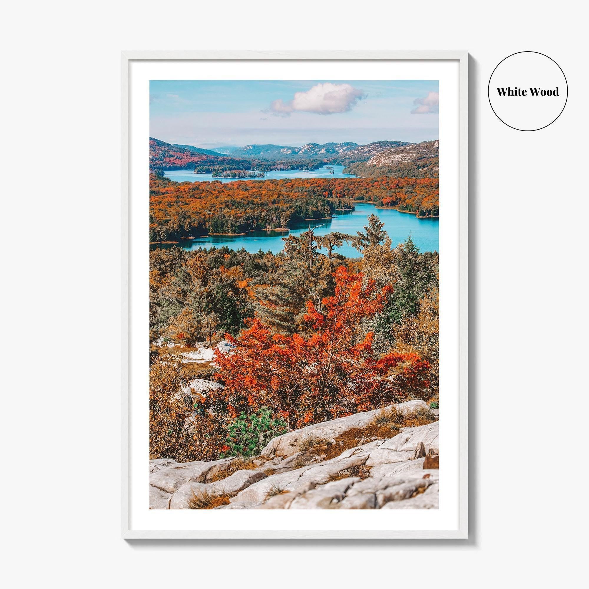 Thousand Islands Fine Art Photo Print, Ontario Canada Aerial Poster, St Lawrence River