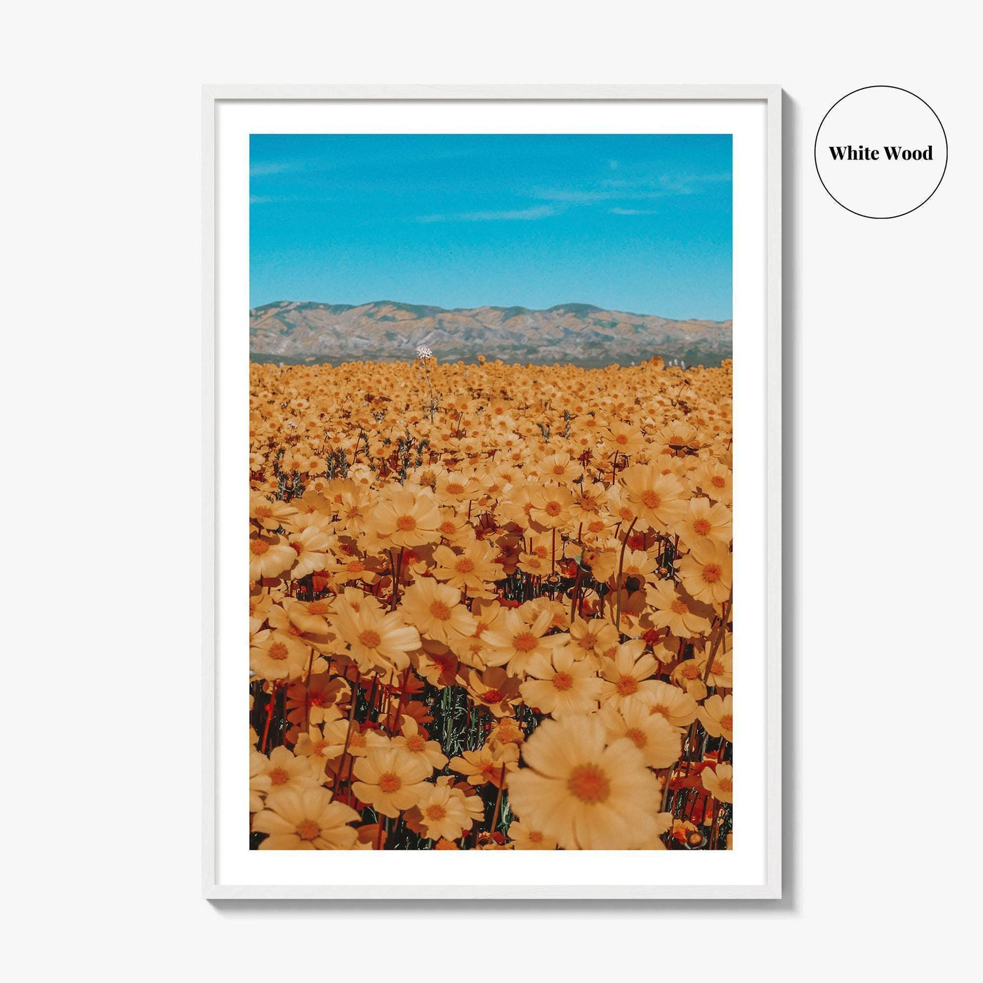 San Luis Obispo Fine Art Photo Print, Carrizo Plain National Monument, California USA Poster