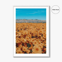 San Luis Obispo Fine Art Photo Print, Carrizo Plain National Monument, California USA Poster