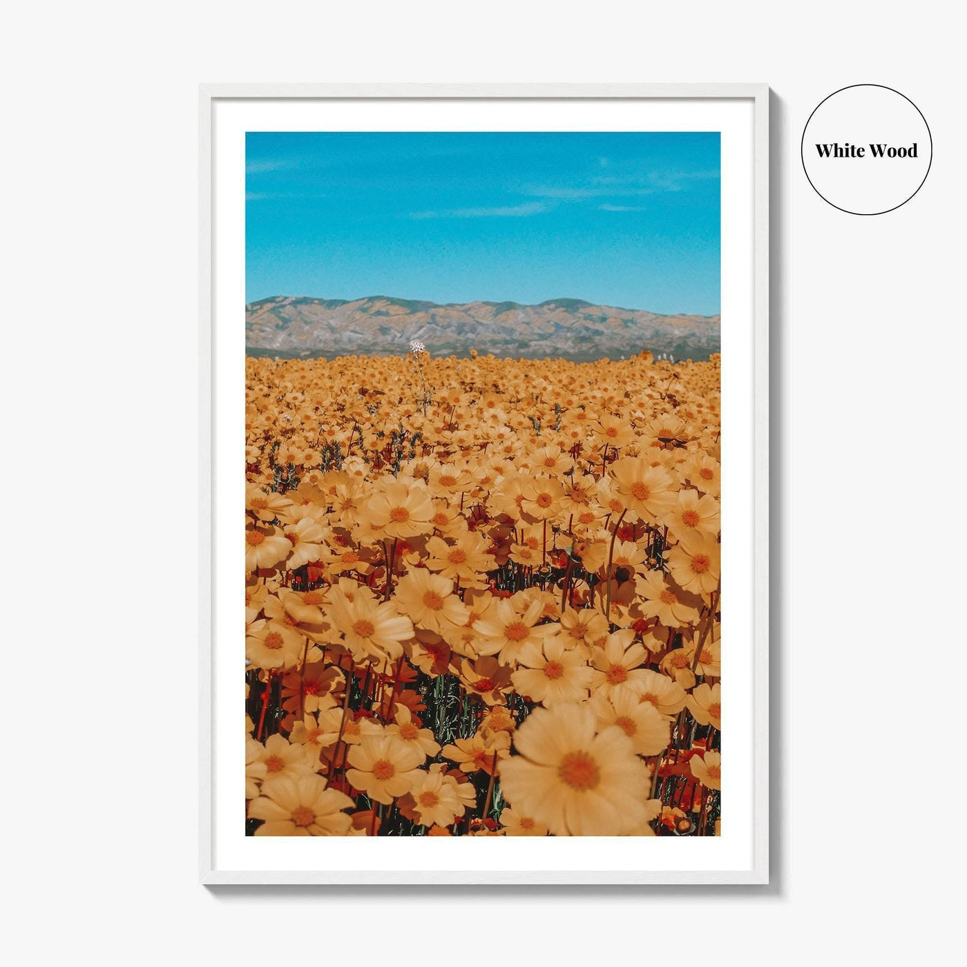 San Luis Obispo Fine Art Photo Print, Carrizo Plain National Monument, California USA Poster
