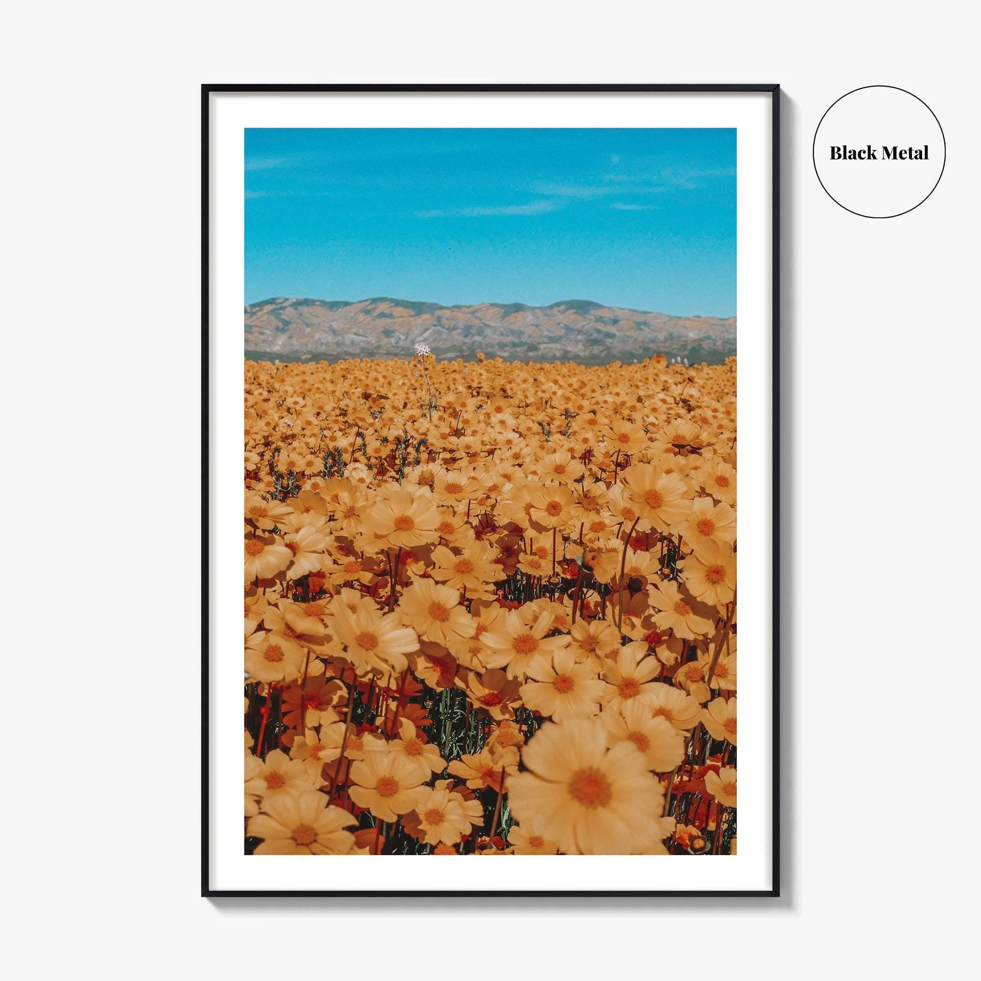 San Luis Obispo Fine Art Photo Print, Carrizo Plain National Monument, California USA Poster