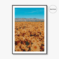 San Luis Obispo Fine Art Photo Print, Carrizo Plain National Monument, California USA Poster