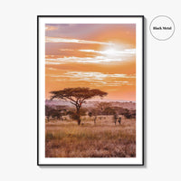 Serengeti Tanzania Fine Art Photo Print, Africa Wall Decor Poster, Safari Savanna, Acacia Trees