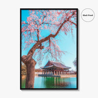 Seoul Fine Art Photo Print, Gyeongbokgung Palace, Cherry Blossom, South Korea Wall Decor Poster