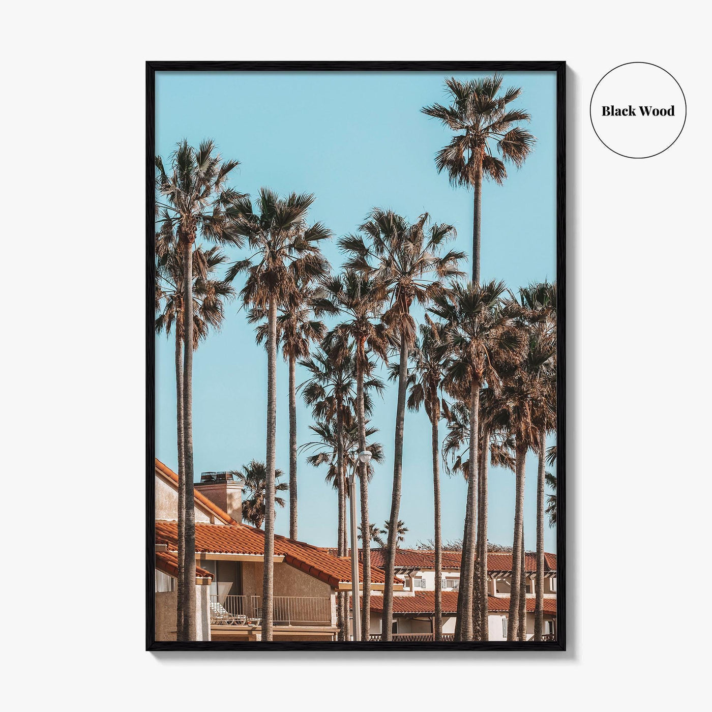 Oxnard Fine Art Photo Print, California Coastal Palm Trees, Ventura County Wall Poster