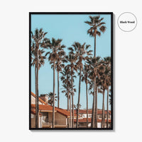 Oxnard Fine Art Photo Print, California Coastal Palm Trees, Ventura County Wall Poster