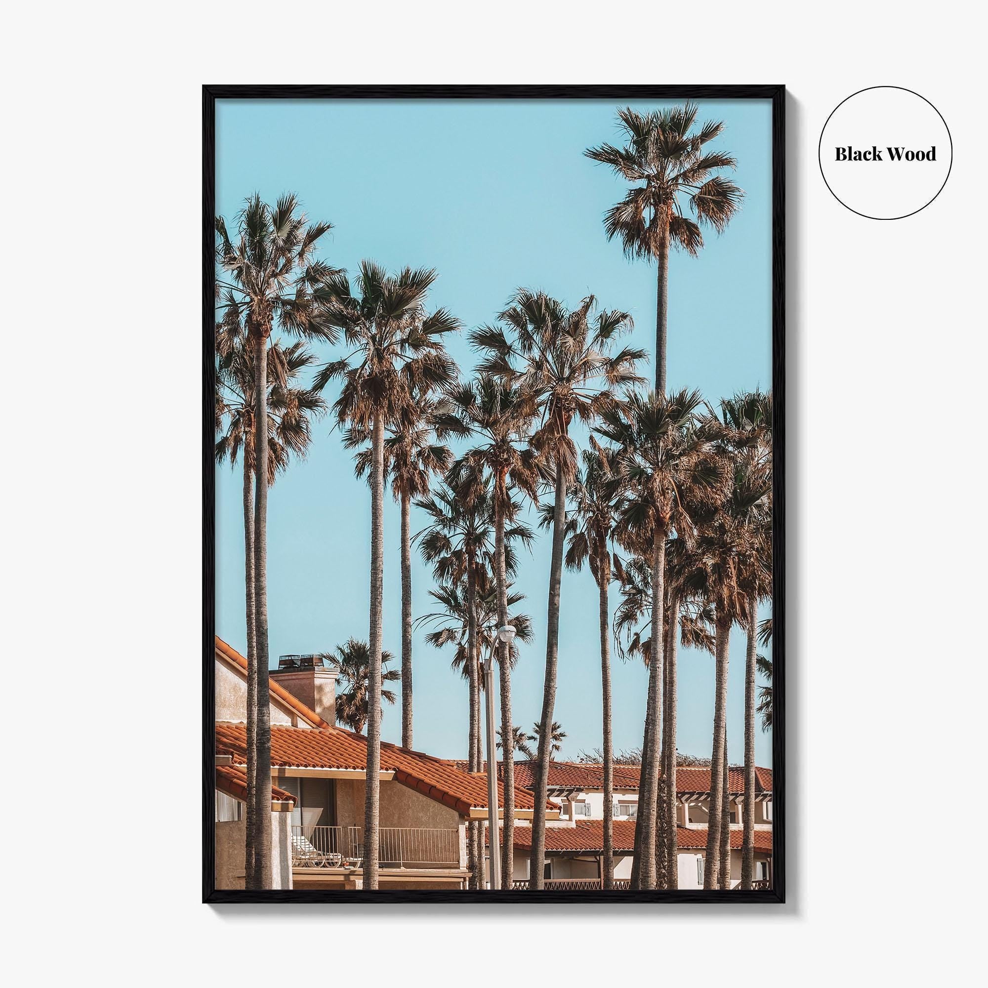 Oxnard Fine Art Photo Print, California Coastal Palm Trees, Ventura County Wall Poster