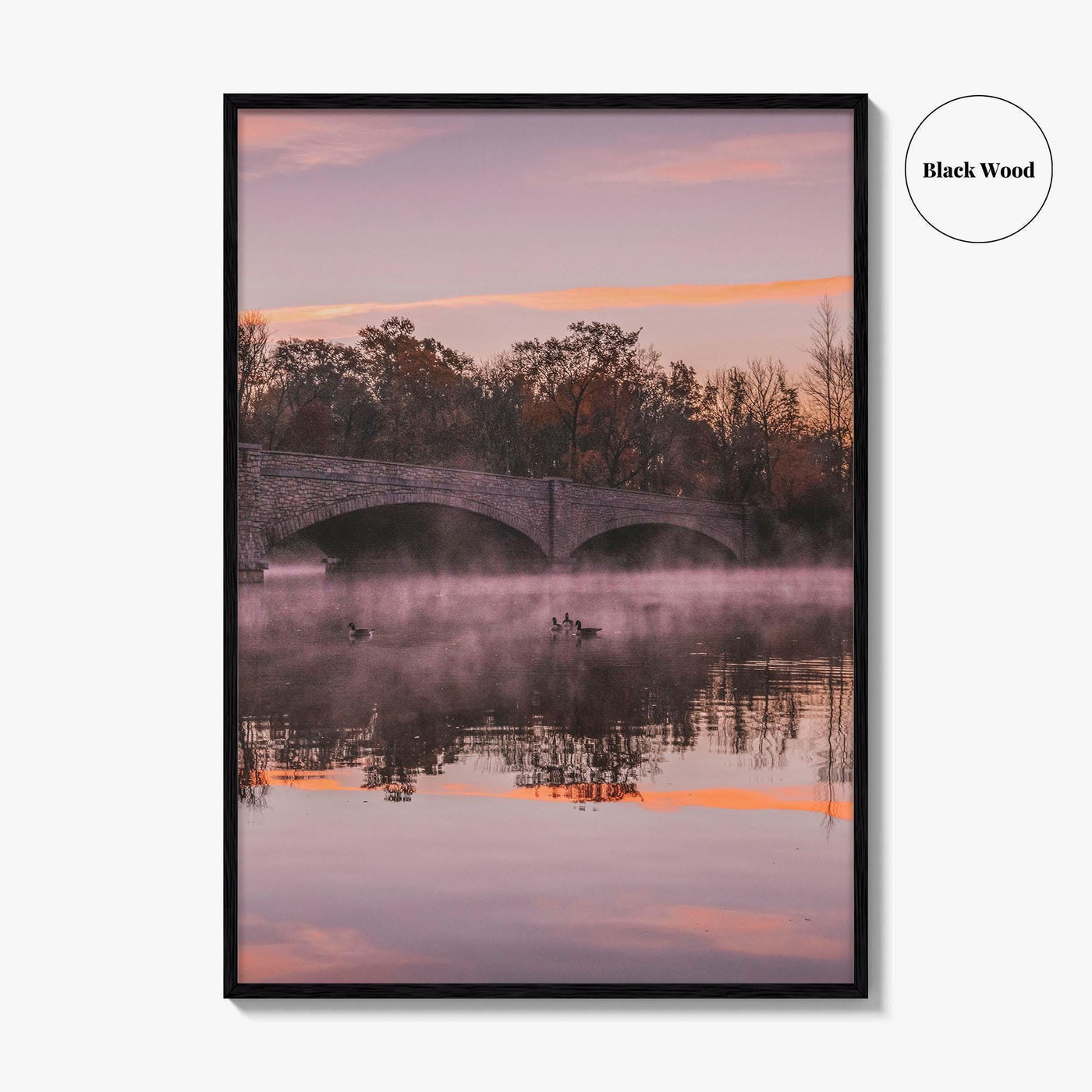 Princeton Fine Art Photo Print, Carnegie Lake Bridge, New Jersey Wall Decor Poster USA