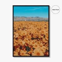 San Luis Obispo Fine Art Photo Print, Carrizo Plain National Monument, California USA Poster