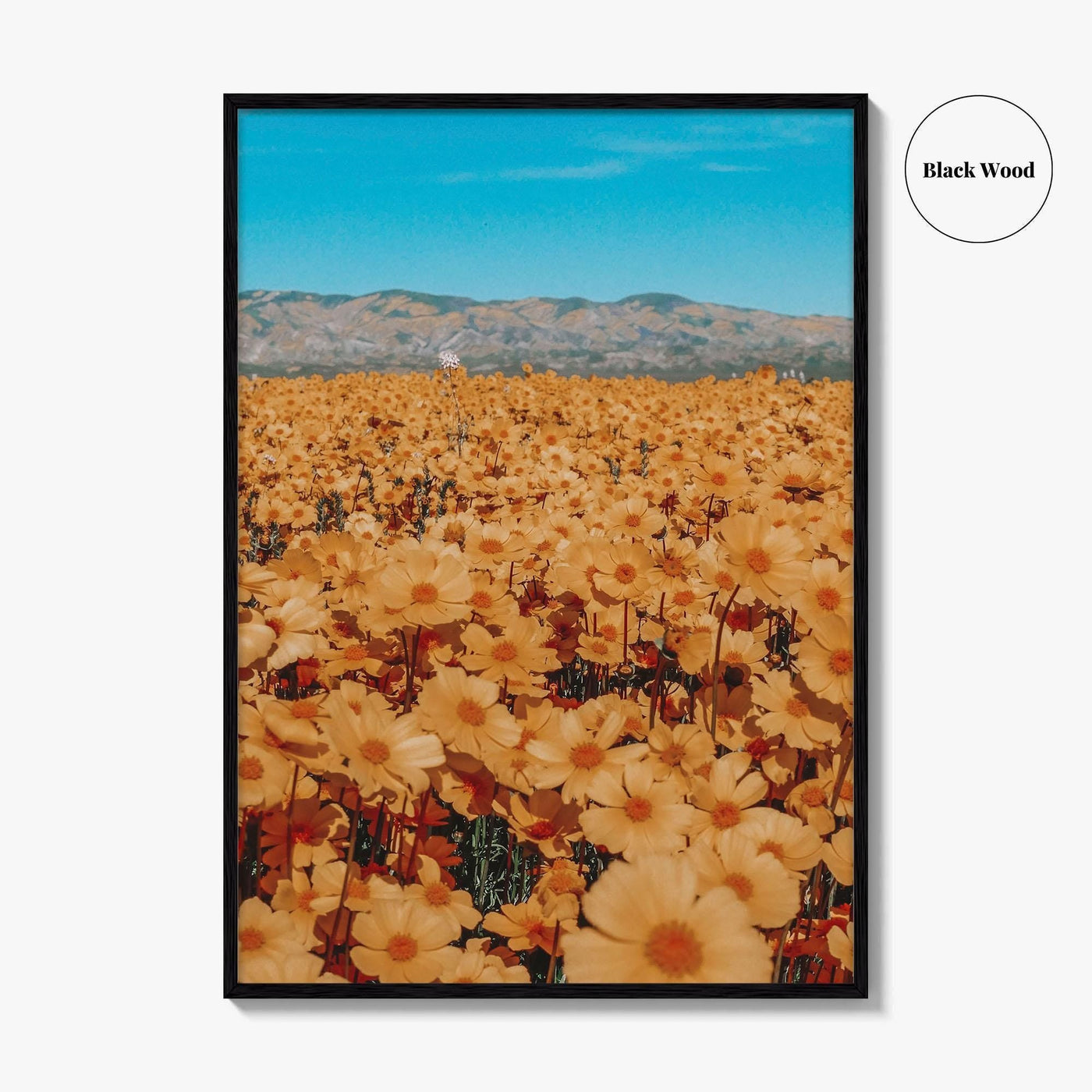 San Luis Obispo Fine Art Photo Print, Carrizo Plain National Monument, California USA Poster