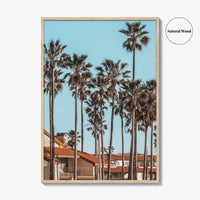Oxnard Fine Art Photo Print, California Coastal Palm Trees, Ventura County Wall Poster