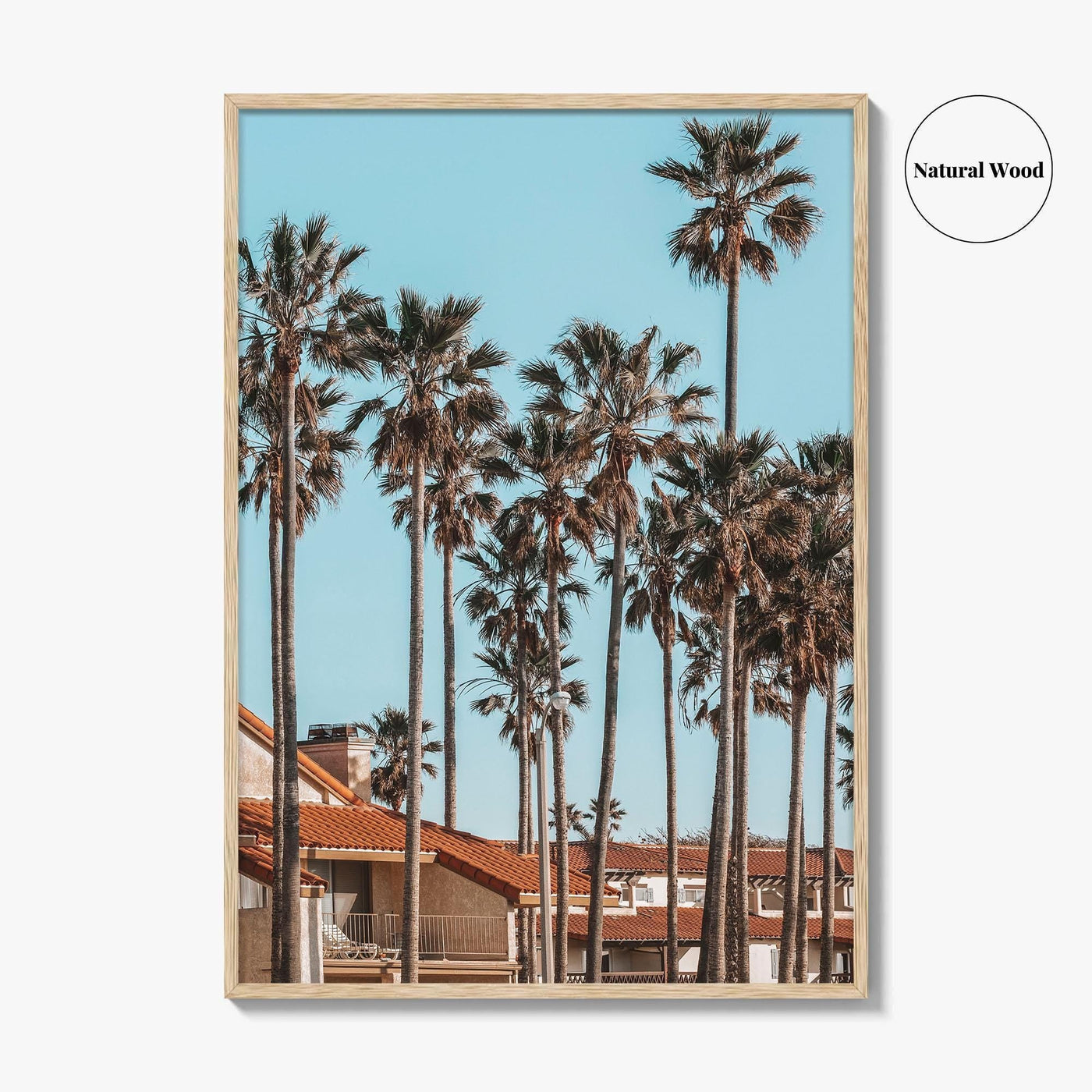 Oxnard Fine Art Photo Print, California Coastal Palm Trees, Ventura County Wall Poster