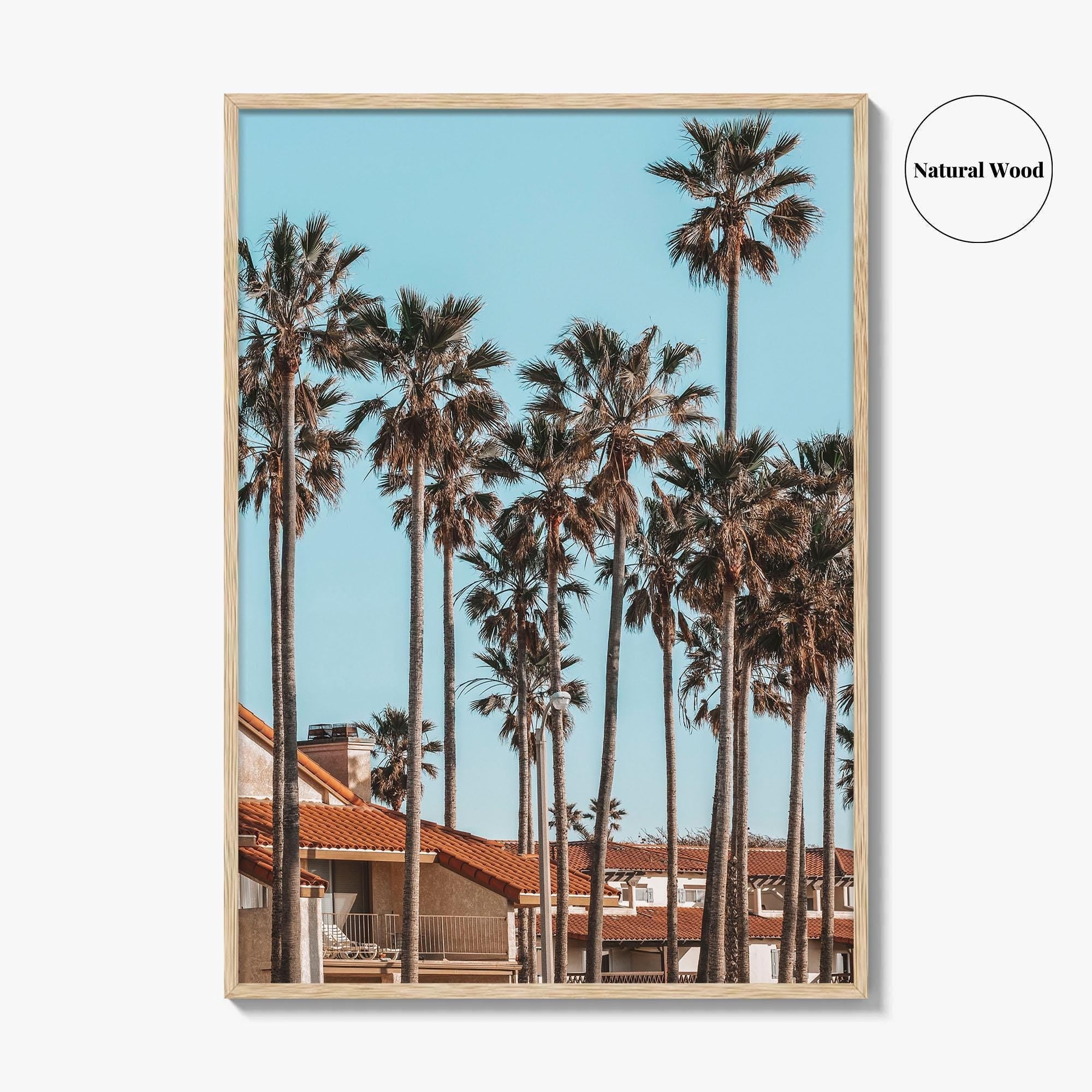 Oxnard Fine Art Photo Print, California Coastal Palm Trees, Ventura County Wall Poster
