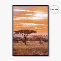 Serengeti Tanzania Fine Art Photo Print, Africa Wall Decor Poster, Safari Savanna, Acacia Trees