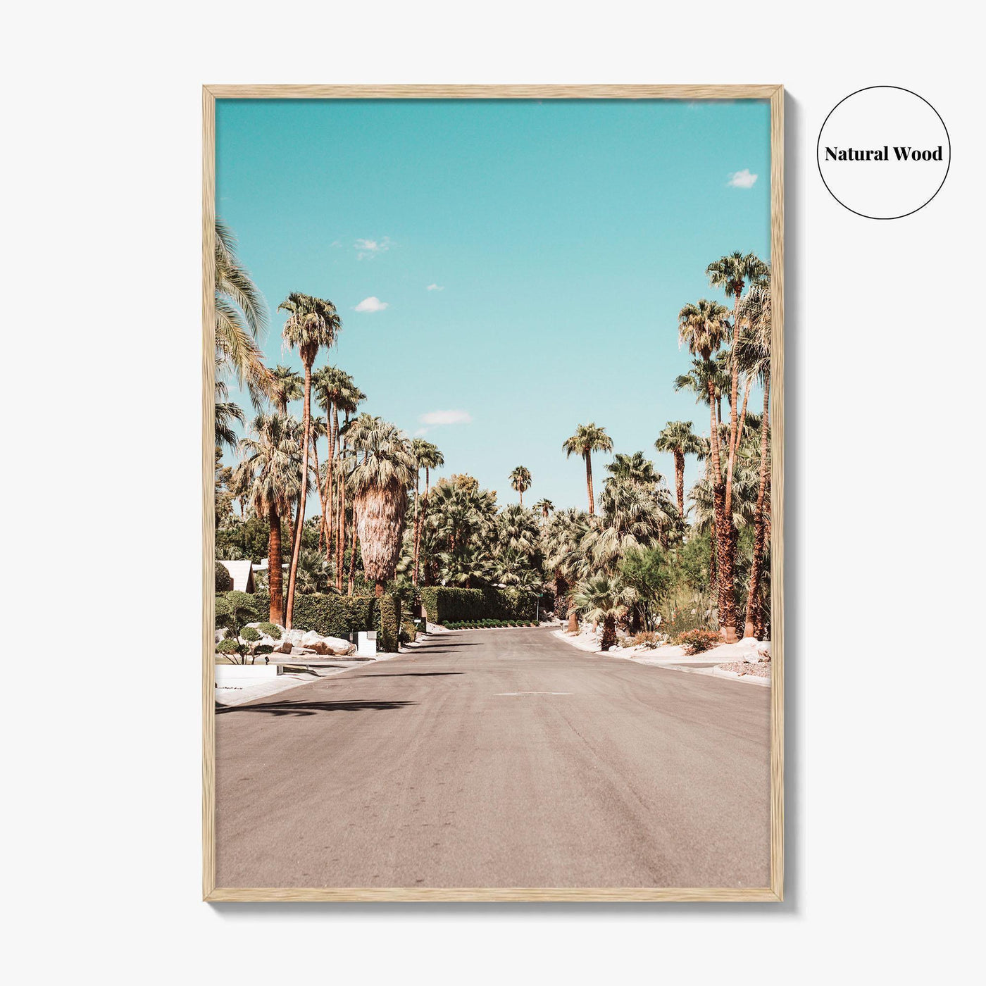 Palm Springs Fine Art Photo Print, Movie Colony, Coachella Valley, California USA Poster