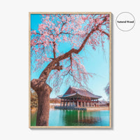 Seoul Fine Art Photo Print, Gyeongbokgung Palace, Cherry Blossom, South Korea Wall Decor Poster