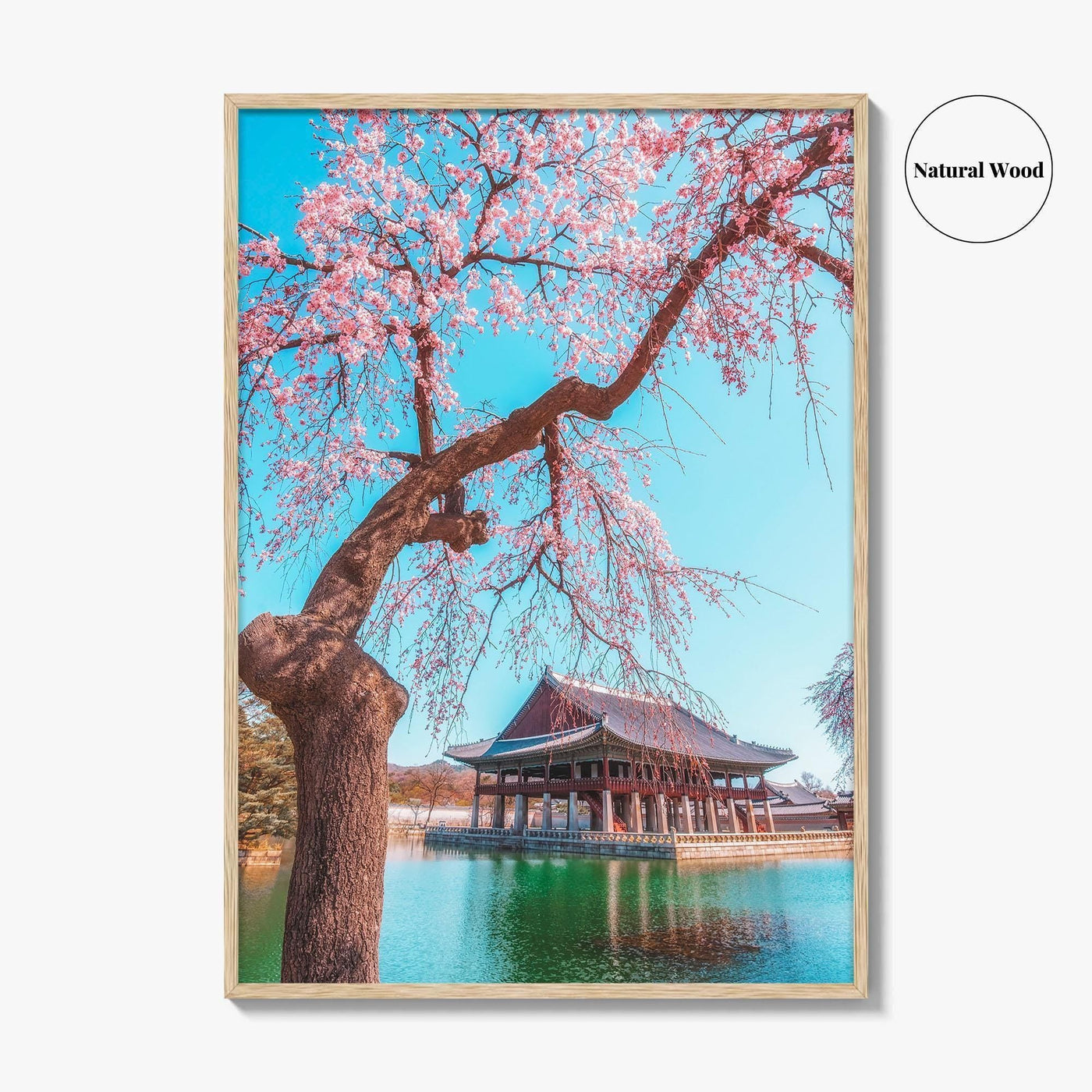 Seoul Fine Art Photo Print, Gyeongbokgung Palace, Cherry Blossom, South Korea Wall Decor Poster