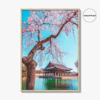 Seoul Fine Art Photo Print, Gyeongbokgung Palace, Cherry Blossom, South Korea Wall Decor Poster