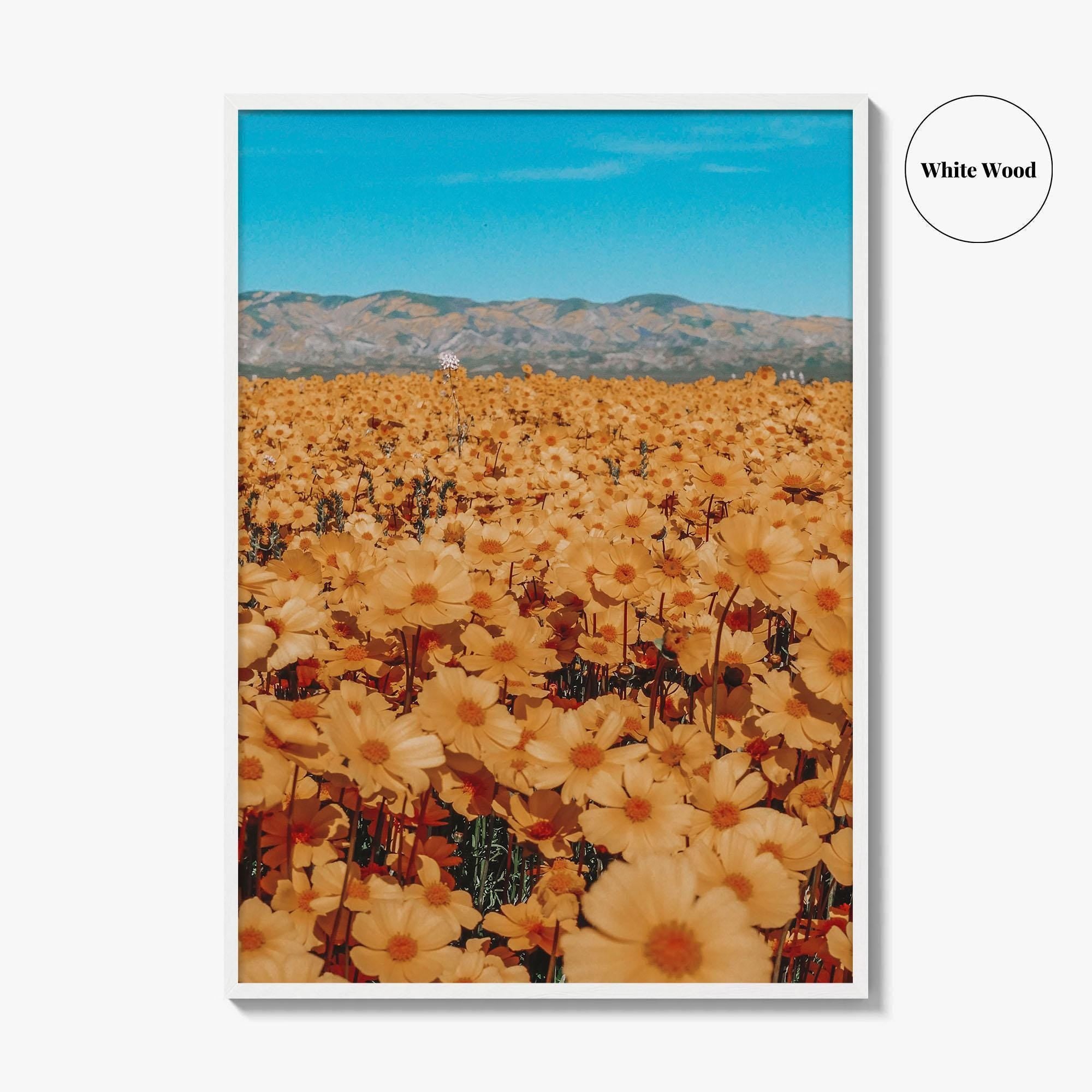 San Luis Obispo Fine Art Photo Print, Carrizo Plain National Monument, California USA Poster