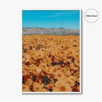 San Luis Obispo Fine Art Photo Print, Carrizo Plain National Monument, California USA Poster