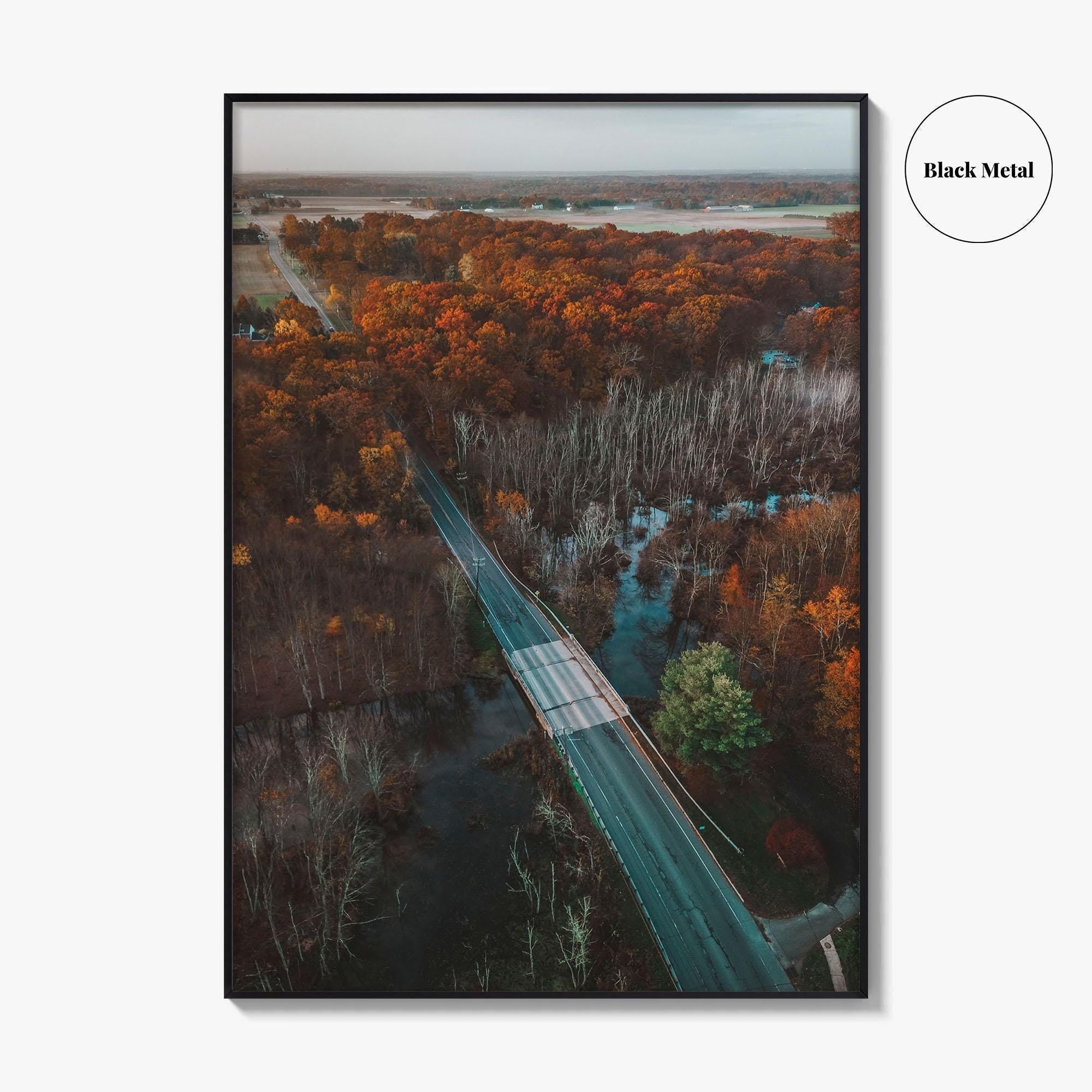 Princeton Fine Art Photo Print, Plainsboro, Cranbury, New Jersey, Aerial, Wall Decor, Poster
