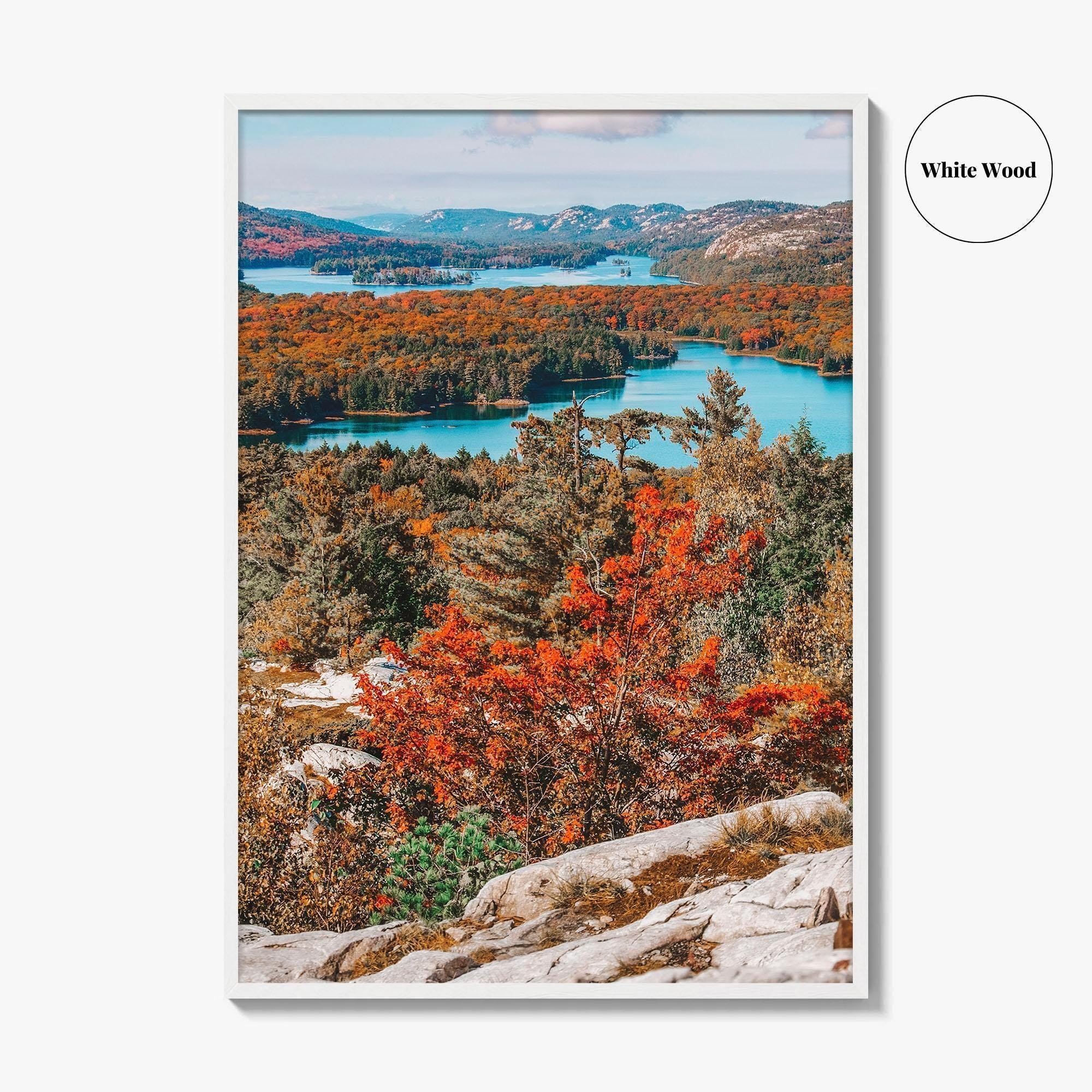 Thousand Islands Fine Art Photo Print, Ontario Canada Aerial Poster, St Lawrence River