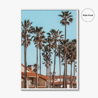 Oxnard Fine Art Photo Print, California Coastal Palm Trees, Ventura County Wall Poster