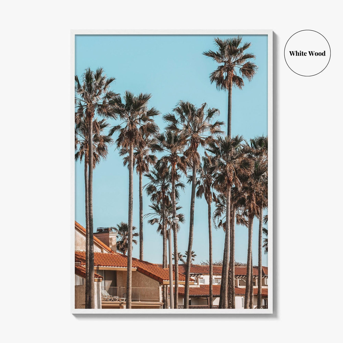 Oxnard Fine Art Photo Print, California Coastal Palm Trees, Ventura County Wall Poster