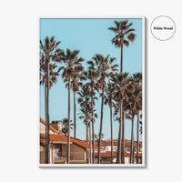 Oxnard Fine Art Photo Print, California Coastal Palm Trees, Ventura County Wall Poster