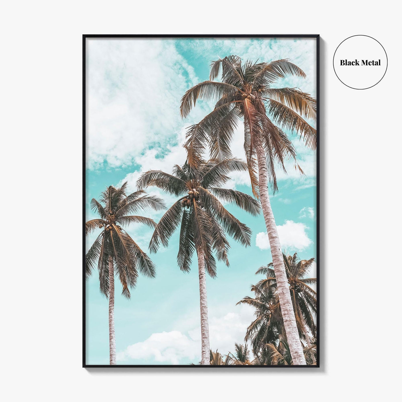 Palm Springs Fine Art Photo Print, California Poster, Coachella Valley, USA